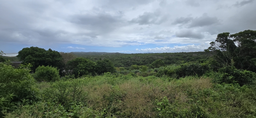 0 Bedroom Property for Sale in Oyster Bay Eastern Cape
